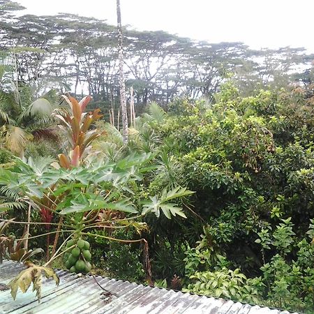 Lava Tree Tropic Inn Pahoa Bagian luar foto