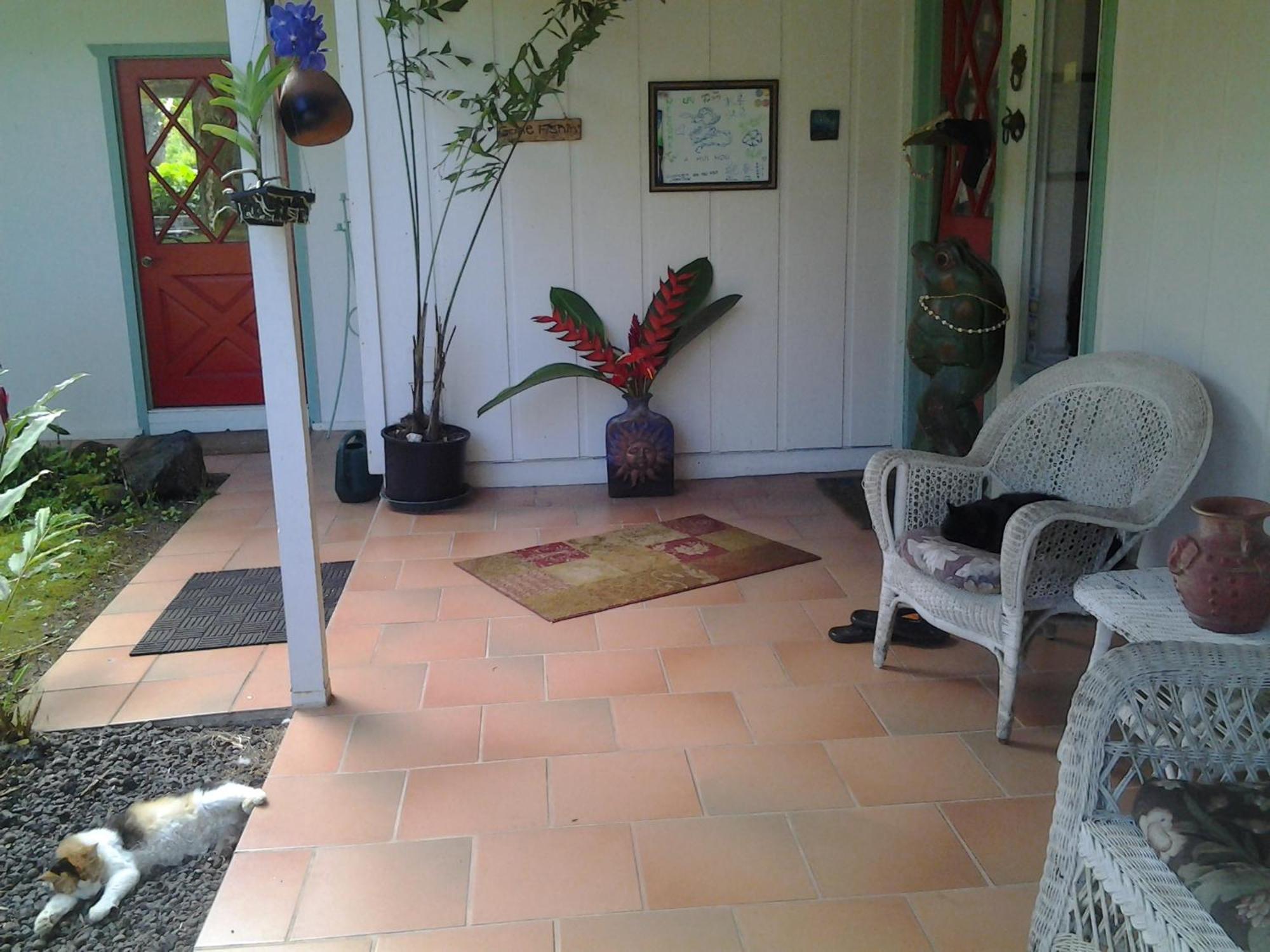 Lava Tree Tropic Inn Pahoa Bagian luar foto
