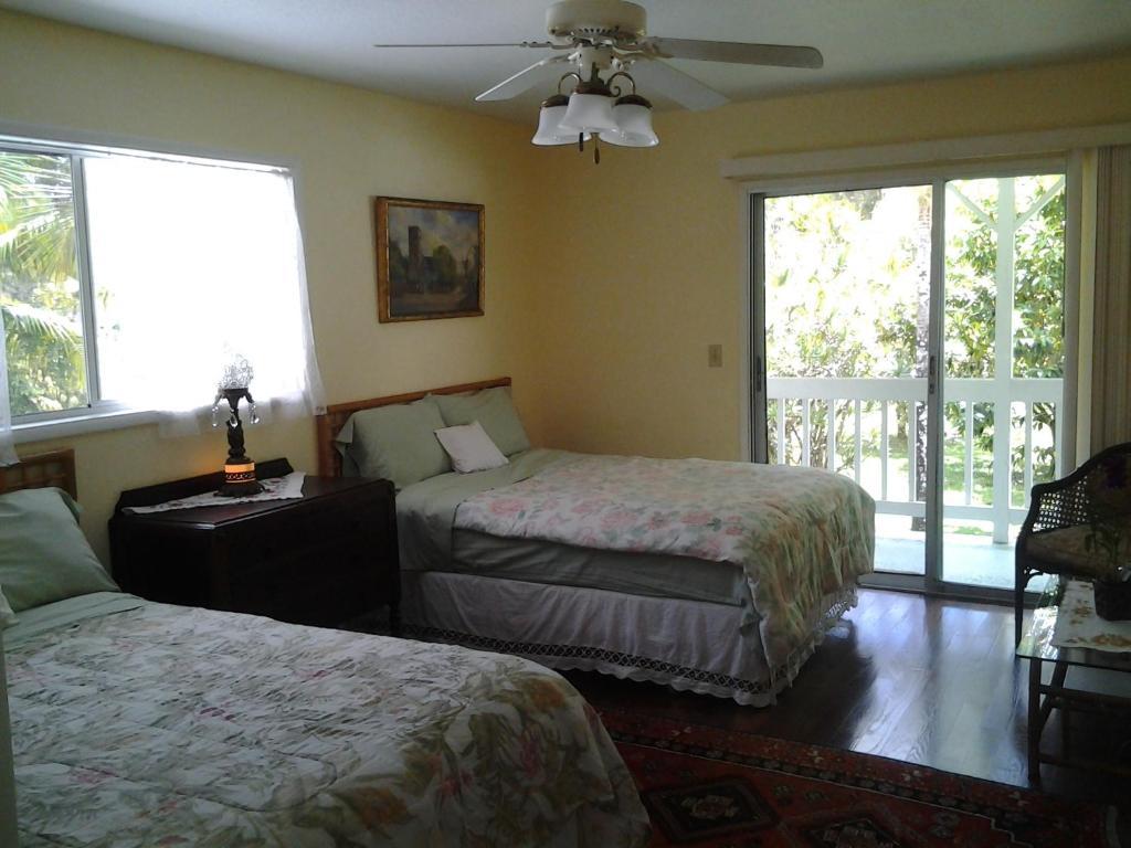 Lava Tree Tropic Inn Pahoa Ruang foto