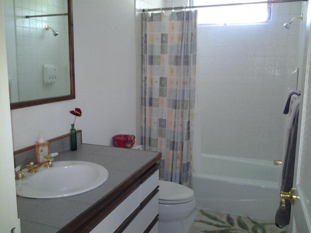 Lava Tree Tropic Inn Pahoa Ruang foto