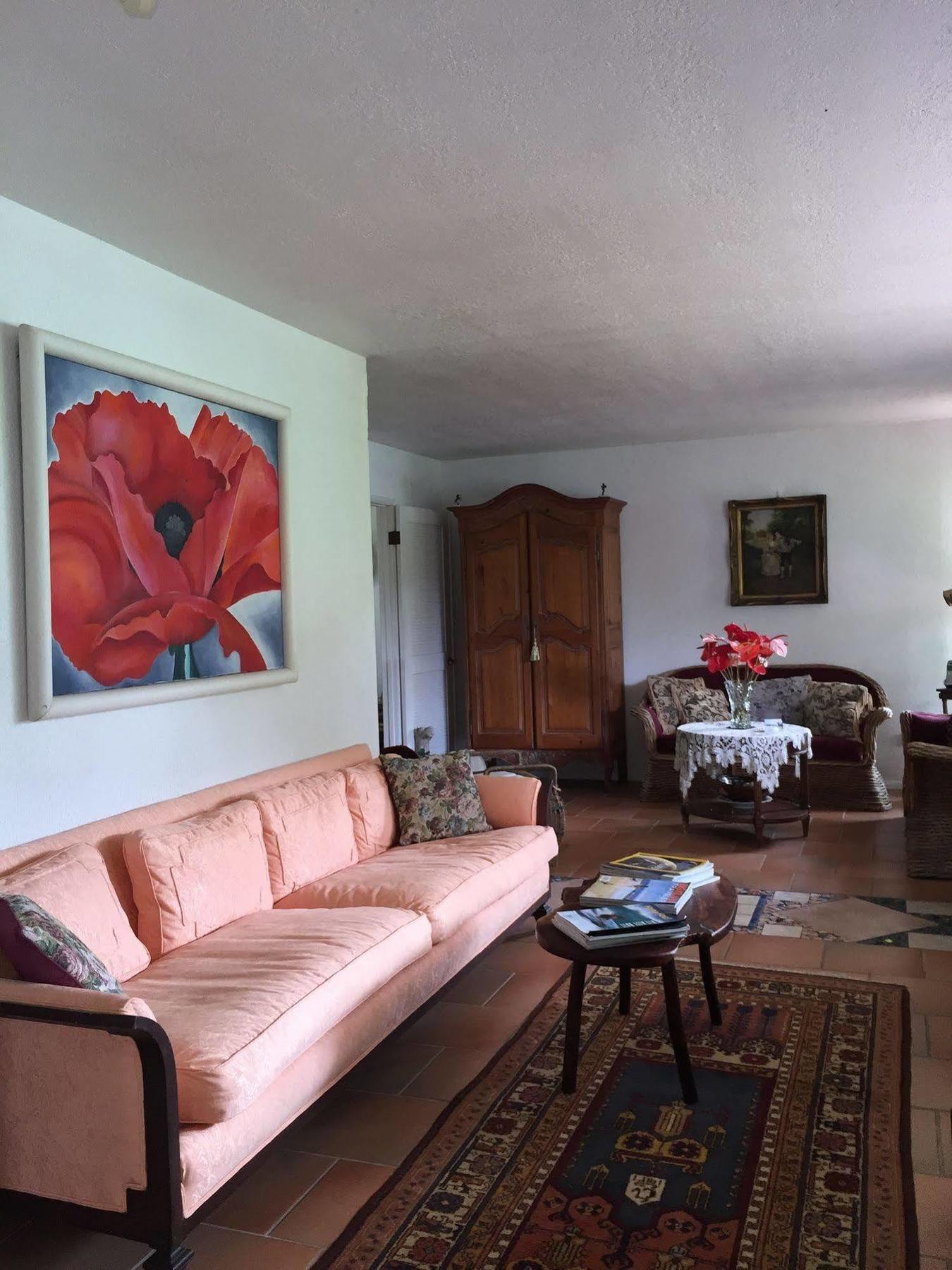 Lava Tree Tropic Inn Pahoa Bagian luar foto